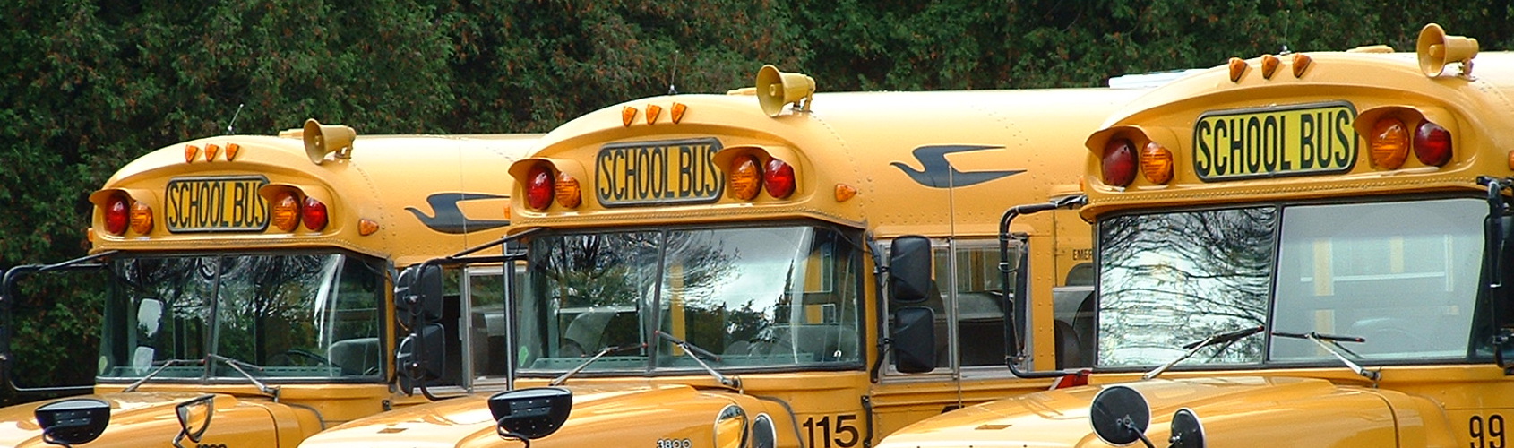 School Bus